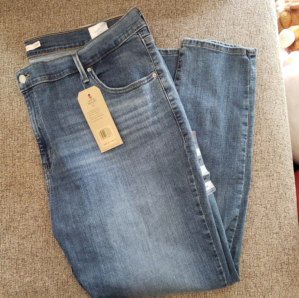 NWT Levi's High Rise Skinny Jeans, 24W S
